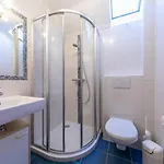 Haus Pitzer/apartments Troicher Schladming