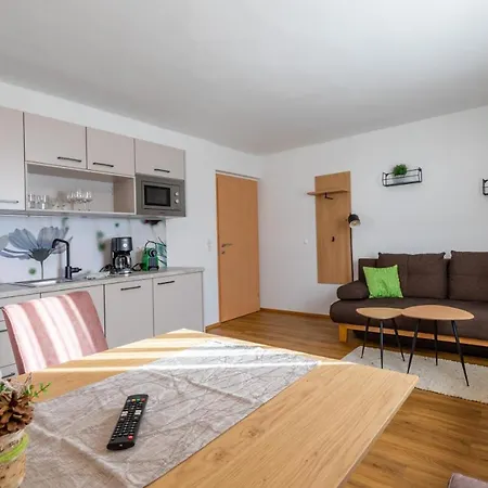 Apartamento Haus Pitzer/apartments Troicher Schladming