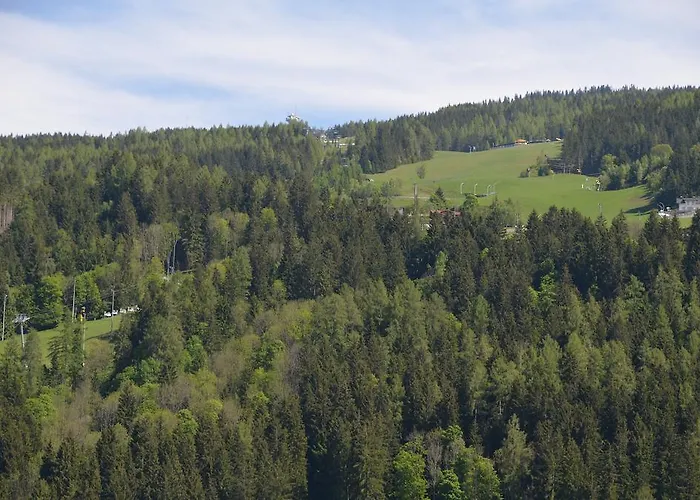 Haus Pitzer/apartments Troicher Апартаменты Шладминг